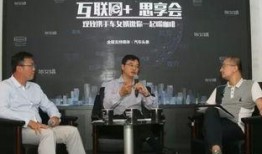 肥西女婿爆料新闻视频播放,揭秘背后惊人真相